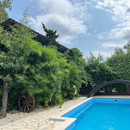 Bokalu With Private Pool Daire Poreč Dış mekan fotoğraf