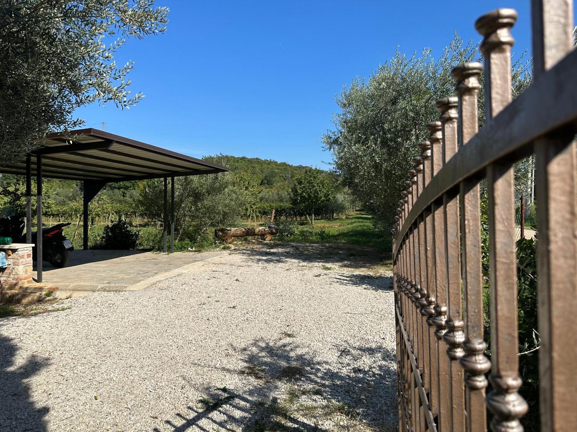 Bokalu With Private Pool Daire Poreč Dış mekan fotoğraf